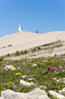 Vignette le Mont Ventoux en fleur