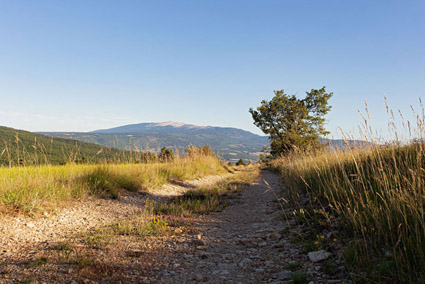 Chemin et Mont Ventoux Photo d'un chemin