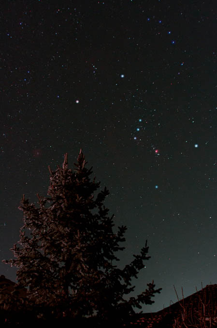 Constellation d'Orion et un sapin Photo de la constellation d'Orion