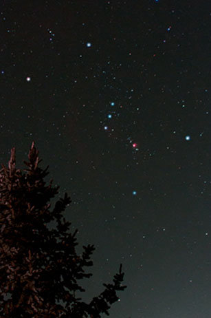 Constellation d'Orion et un sapin Photo de la constellation d'Orion